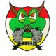 Embleem Oeteldonk Nr. 1282 Sterrenbeeld Stier